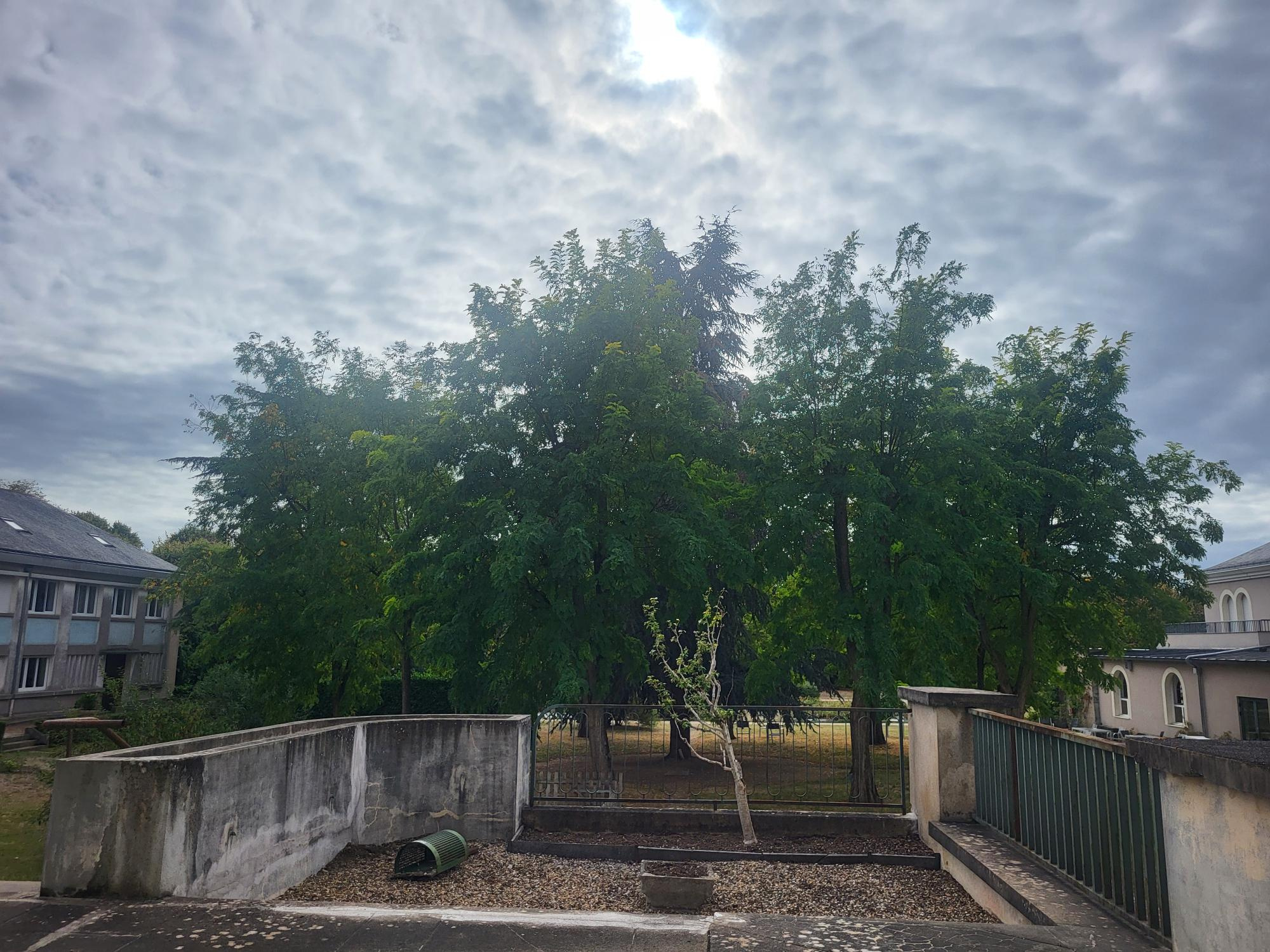 Bureaux 75m² – Angers
