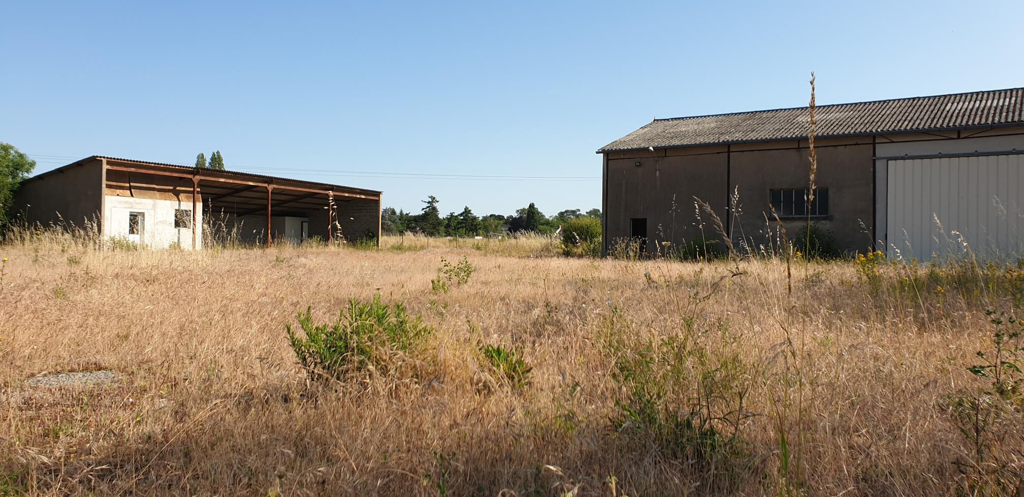 Local Commercial 640m² – Ste gemmes sur loire