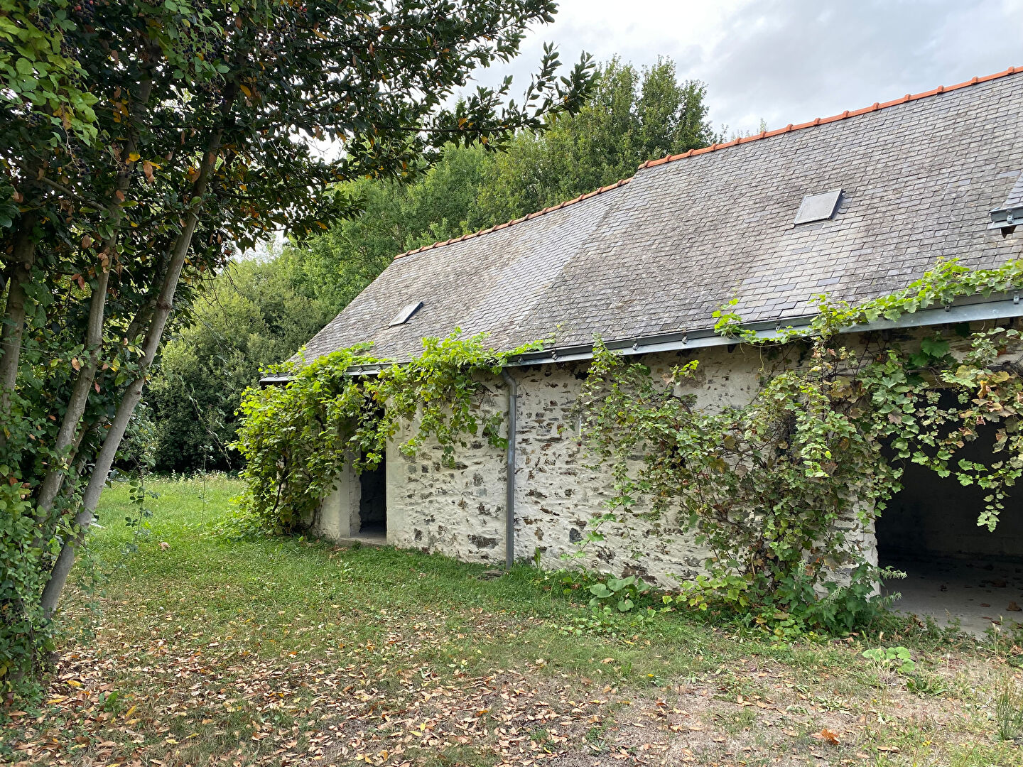 Terrain 1122m² – 
MURS ERIGNE