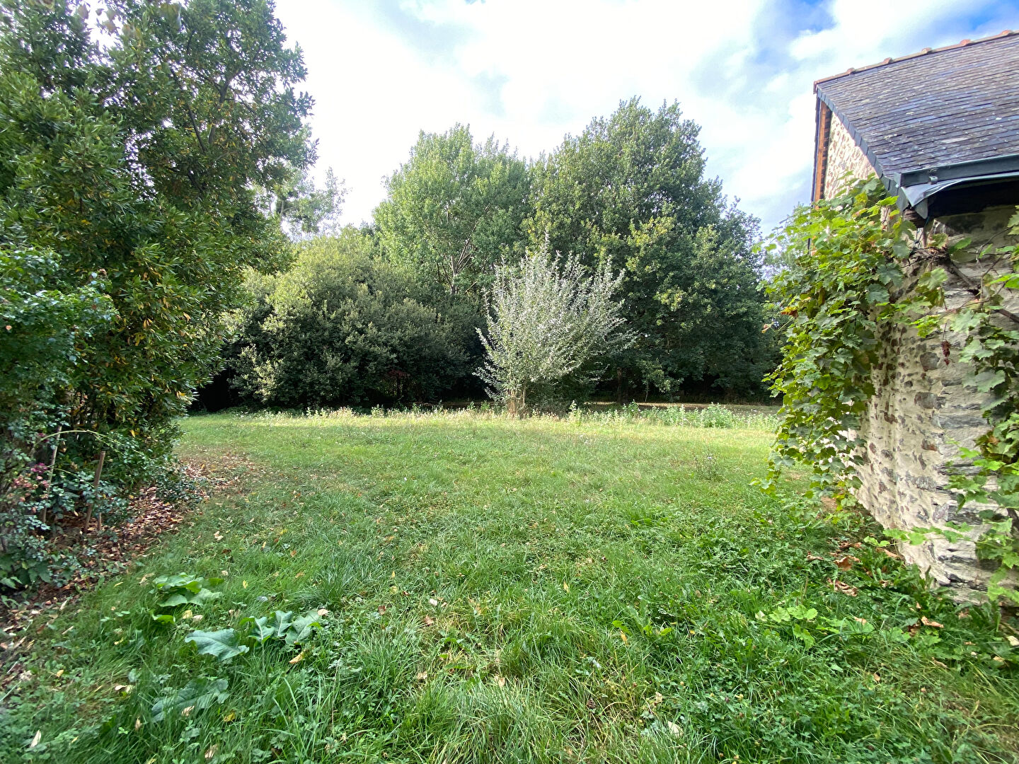 Terrain 1122m² – 
MURS ERIGNE