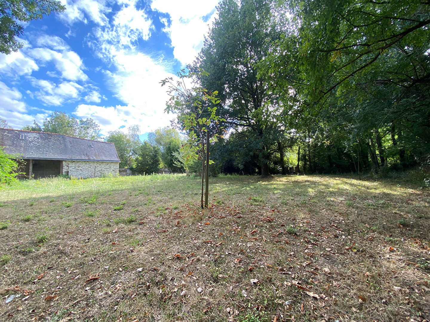 Terrain 1122m² – 
MURS ERIGNE