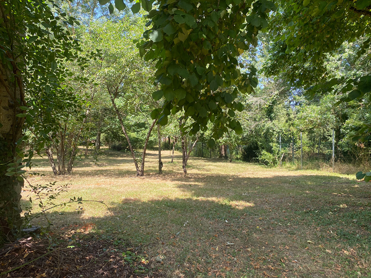 Terrain 1122m² – 
MURS ERIGNE