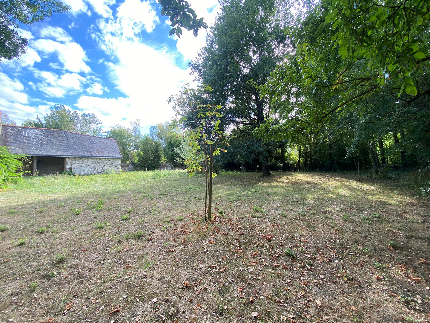 Terrain 1122m² – 
MURS ERIGNE