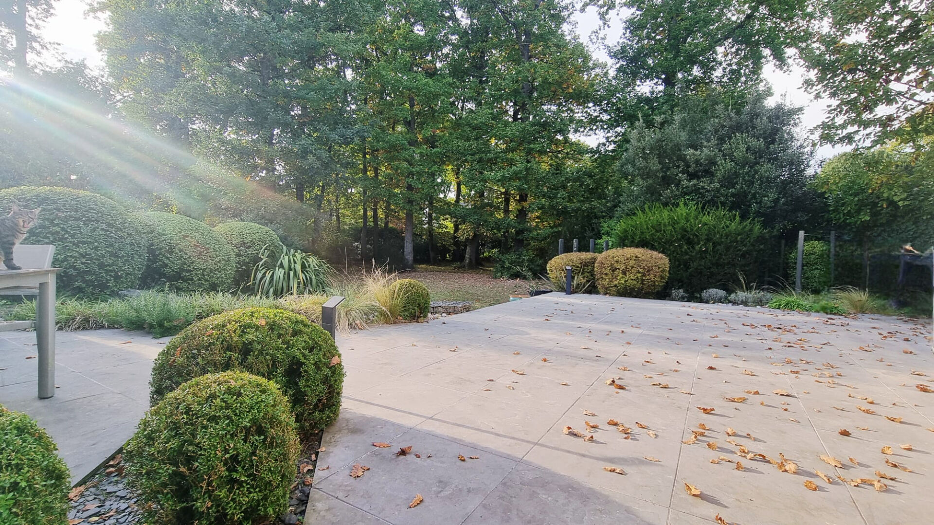 Maison 263m² – 
AVRILLE