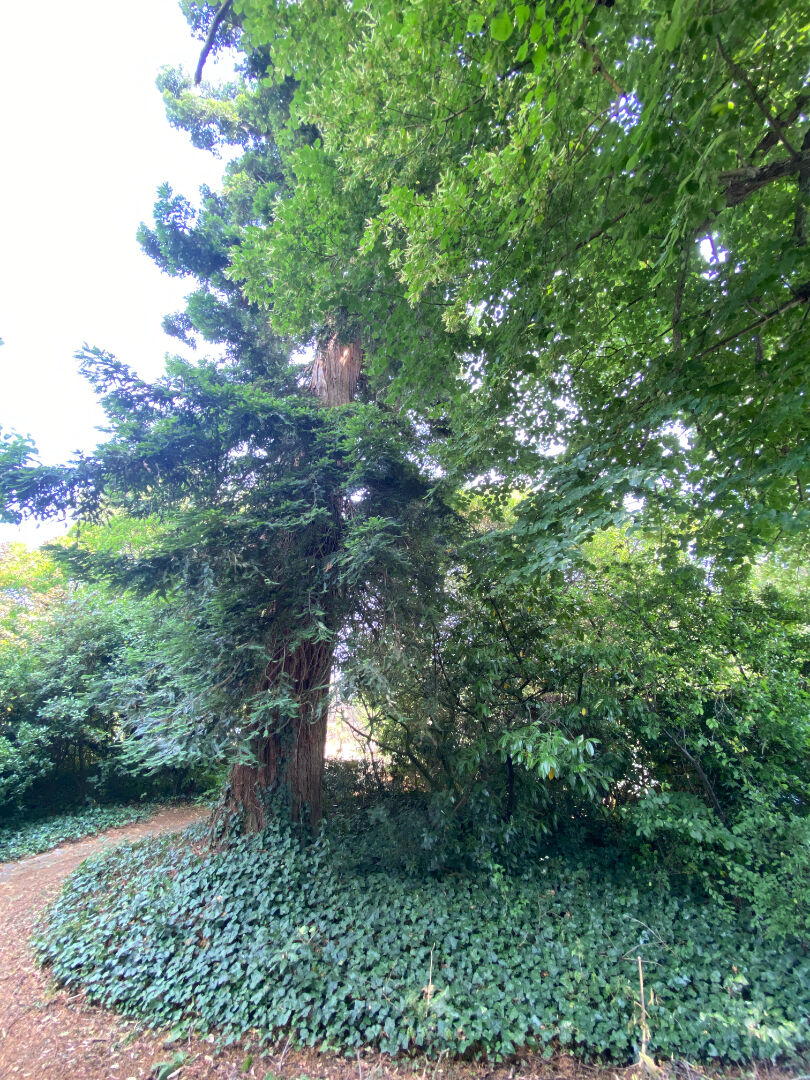 Terrain 607m² – 
TIERCE