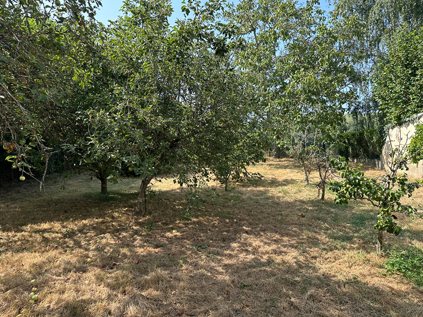 Maison 133m² –
LES PONTS DE CE Maison 133m² –
LES PONTS DE CE